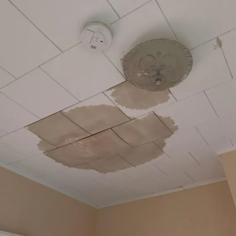 Ceiling Water Damage Repair in Hawkins County, TN