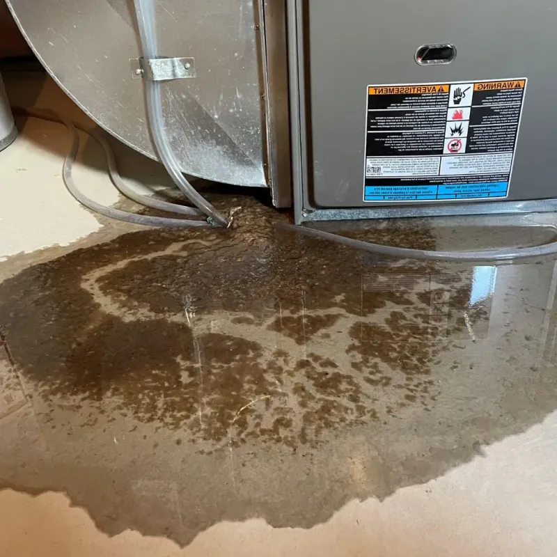 Pipe Burst and Leak Restoration in Hawkins County, TN