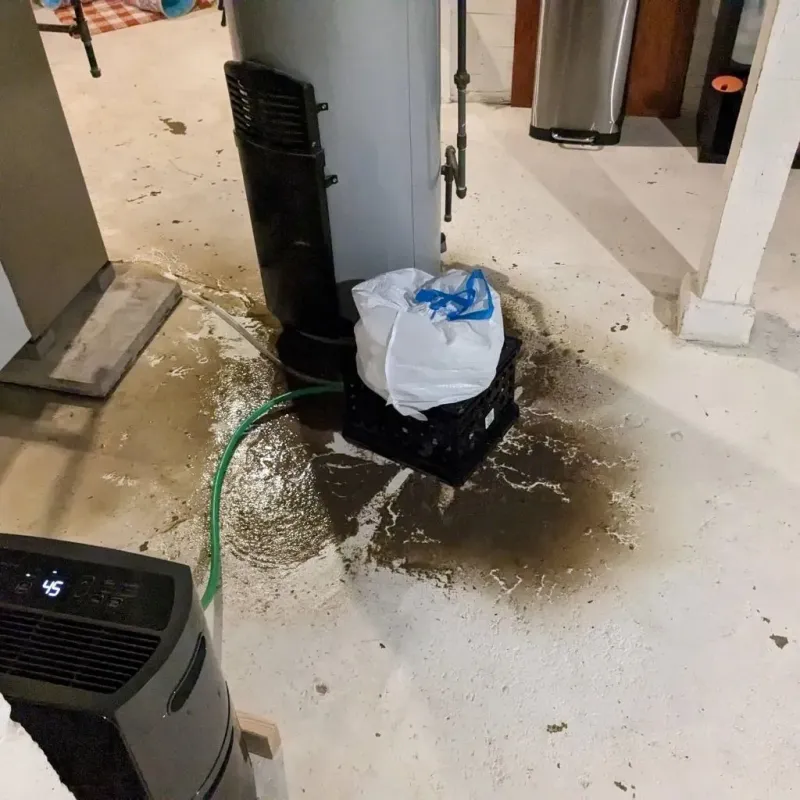 Sewage Backup Cleanup Service in Hawkins County, TN